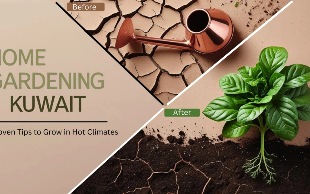 🪴Home Gardening Kuwait: Beginner’s Secret to a Beautiful Garden
